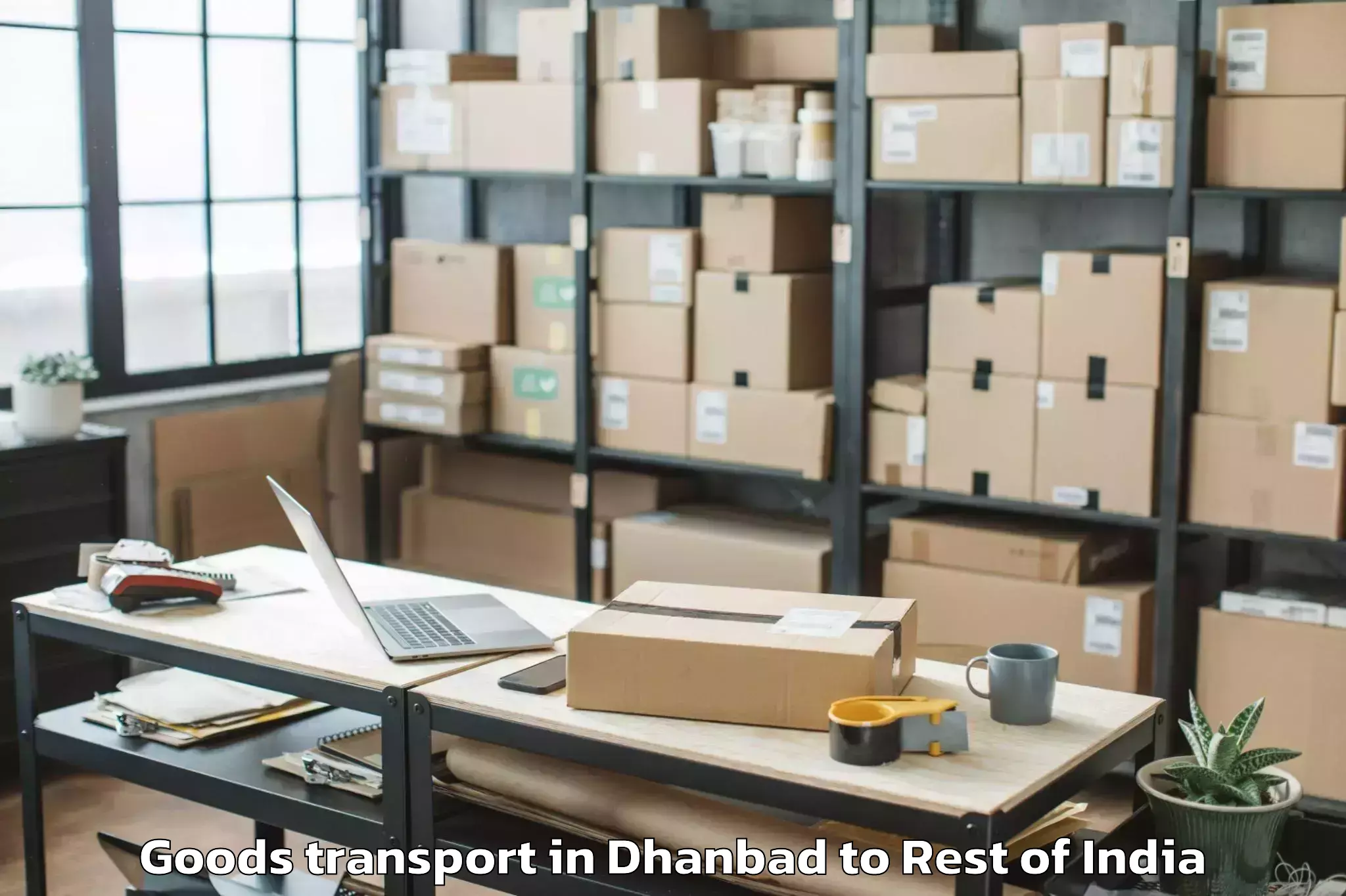 Book Dhanbad to Cluster University Of Jammu Ja Goods Transport